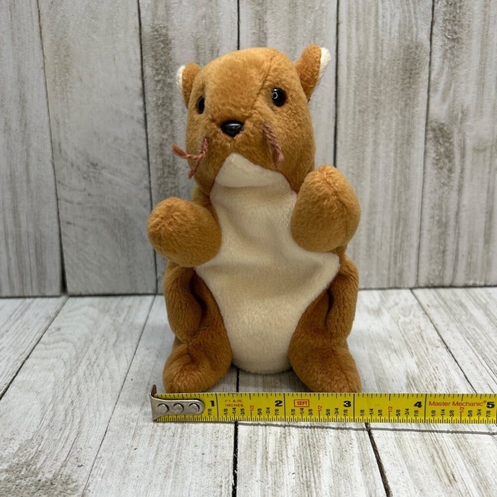 Vintage TY Beanie Baby Nuts The Squirrel Plush Stuffed Animal Toy 1996 - Picture 7 of 8